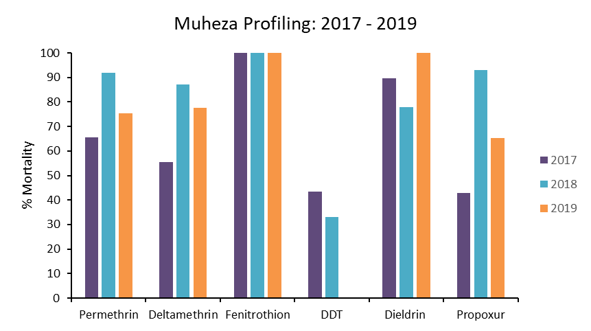 MUHEZA DATA PROFILING